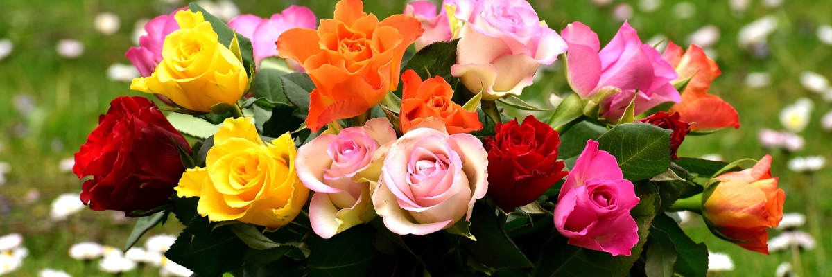 SAVE_20250426_152133