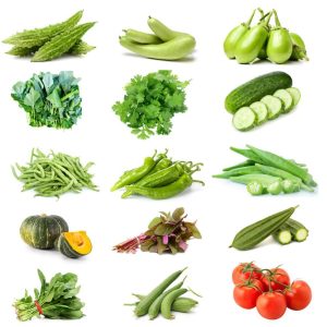 15 Easy To Grow Summer Vegetables Seeds Kit For Home Garden