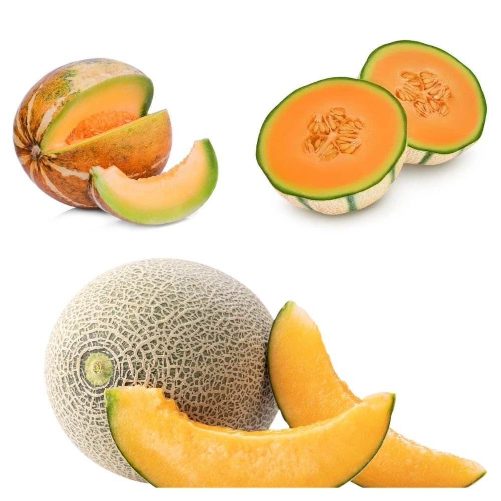 3 Different Varieties Muskmelon Seeds Combo Pack