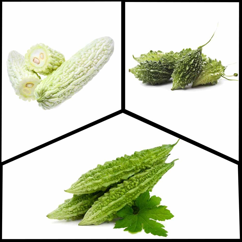 3 Different Varieties of Bitter Gourd Seeds Packet