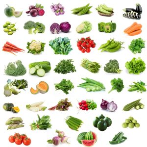 45 Variety of Vegetable Seeds kit With High Germination Rate