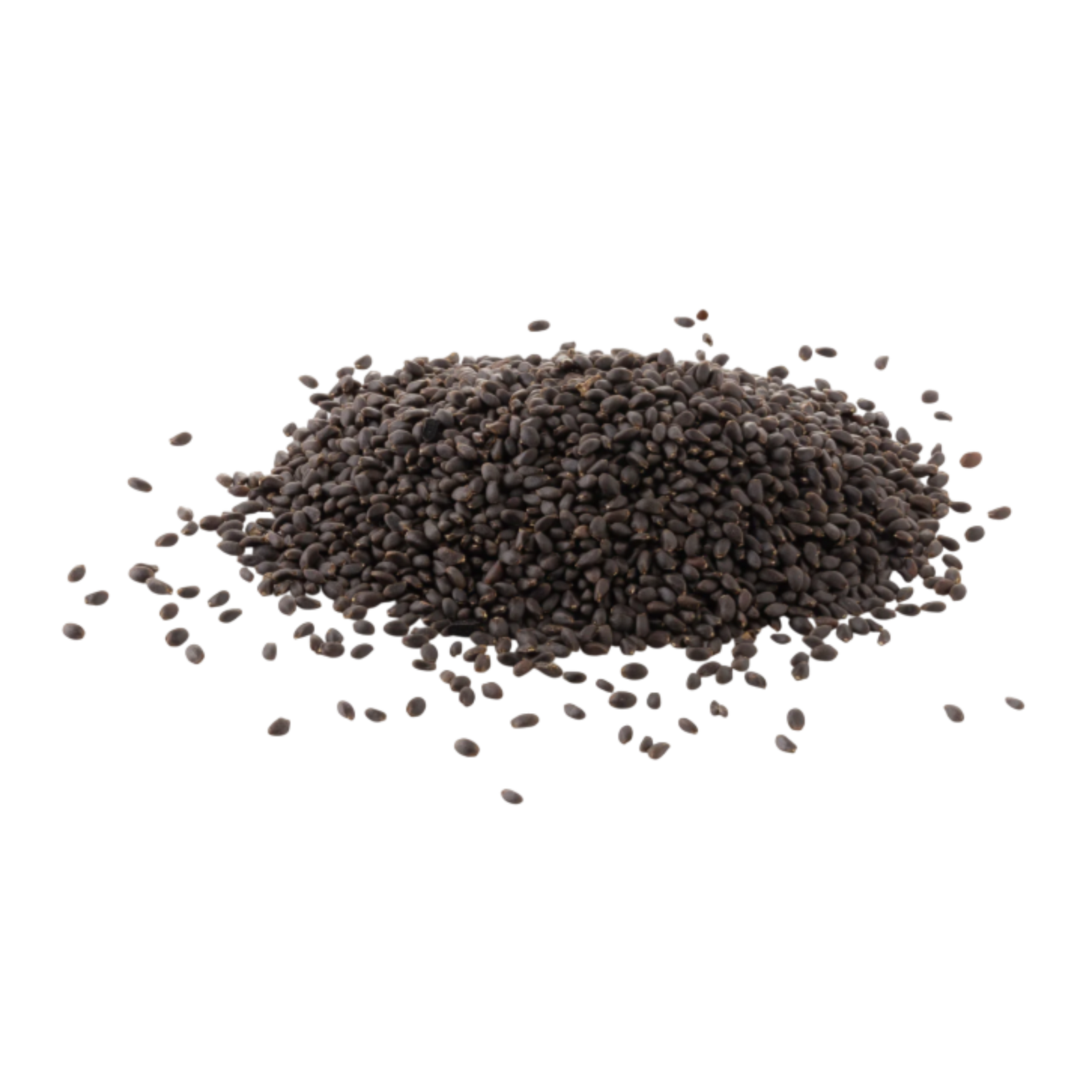 Basil Seeds