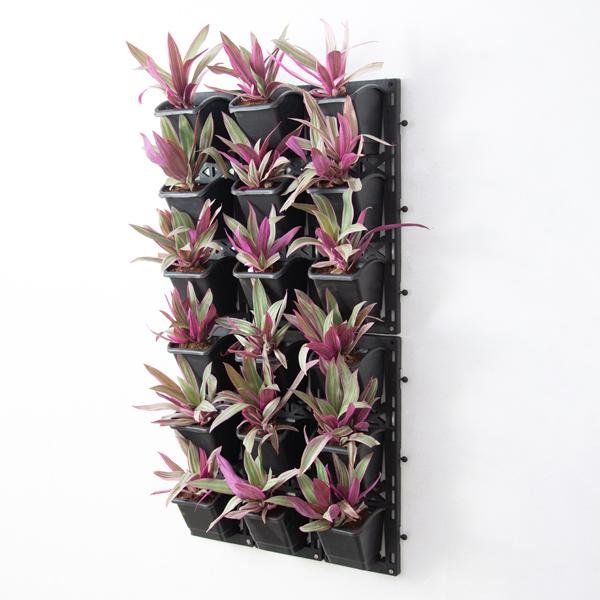 Best Outdoor Plants for Vertical Garden