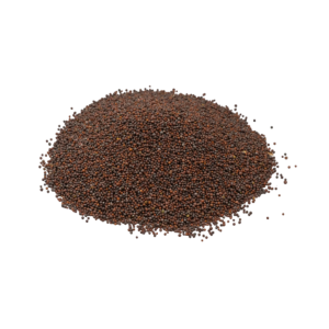 Black Mustard Seeds