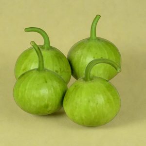 BOTTLE GOURD- LOUKI (ROUND) HYBRID SEEDS (15 seeds)