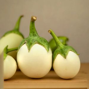 BRINJAL WHITE ROUND HYBRID SEEDS (40 seeds)