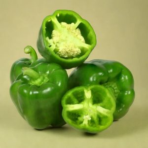 CAPSICUM (GREEN) HYBRID SEEDS (20 seeds)