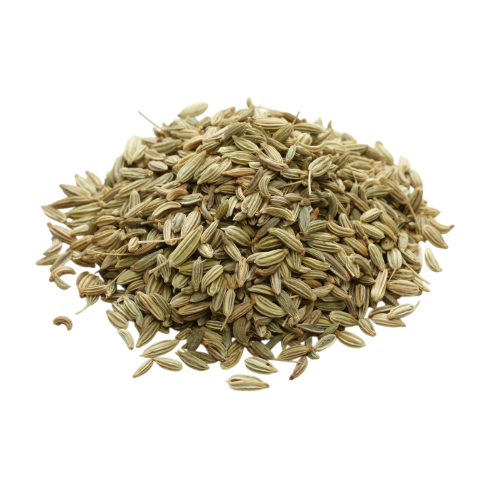 Fennel Seeds