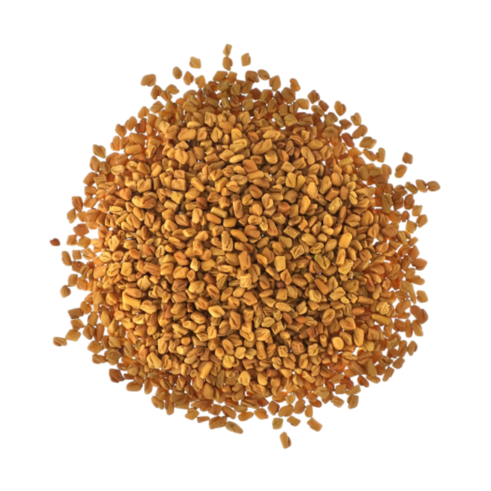 Fenugreek Seeds