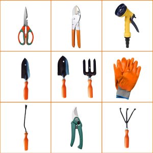 Gardening Tools Set Of 5 with Scissor, Pruner, Khurpi, Nozzle & Gloves (10 pcs)