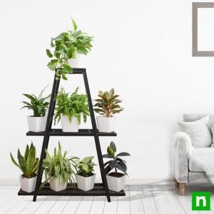 Graceful houseplants for indirect light on unique triangle shape metal stand