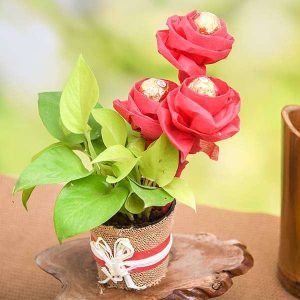 Lovely Money Plant with Ferrero Rocher Roses