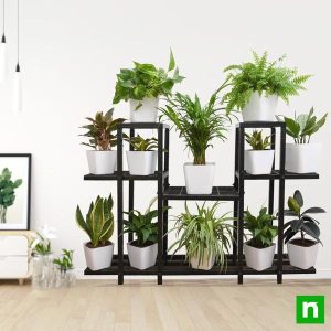 Marvelous indoor plants on solid metal stand for indirect light
