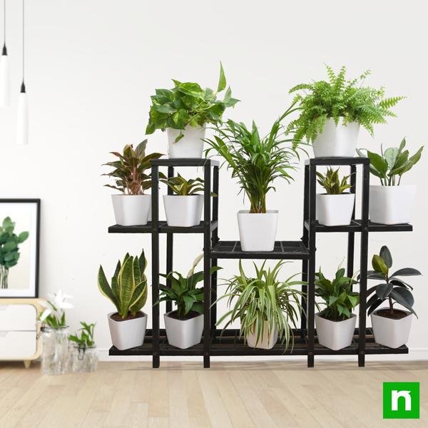 Marvelous indoor plants on solid metal stand for indirect light