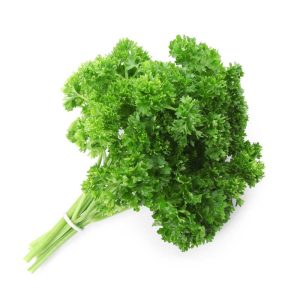 Parsley Seeds - 750 Seeds (Ajmod/अजमोद के बीज)