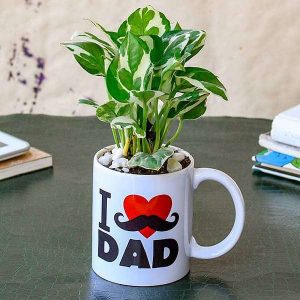 Refreshing Money Plant in I Love Dad Mug for Workaholic Dad