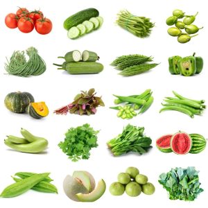 Summer Vegetable Seeds Kit Hybrid (20 in 1)