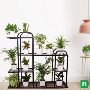 Transform home space receiving indirect light with houseplants on metal stand
