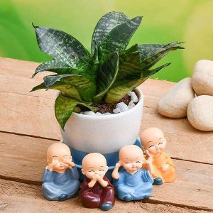 Wish Happiness with Super Sansevieria in a Ceramic pot and Cute monks