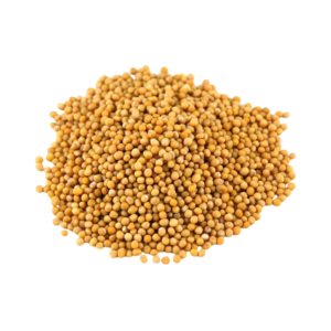 Yellow Mustard Seeds